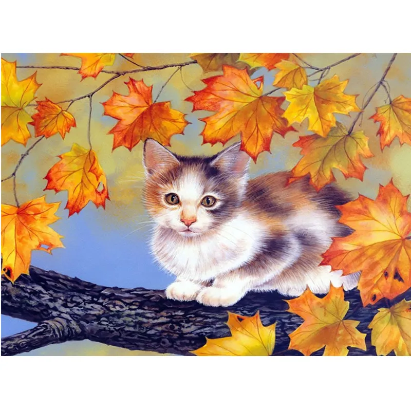 5D алмазная живопись полная круглая Алмазная вышивка кот мозаика животные стразы