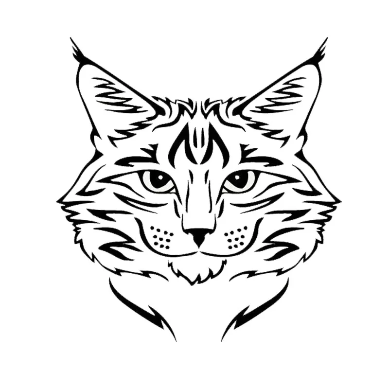 

LLY-1712 Maine Coon Breed Kitten Animal Car Sticker PVC Exquisite Personality Waterproof Sunscreen Decal Can Be Customized Color