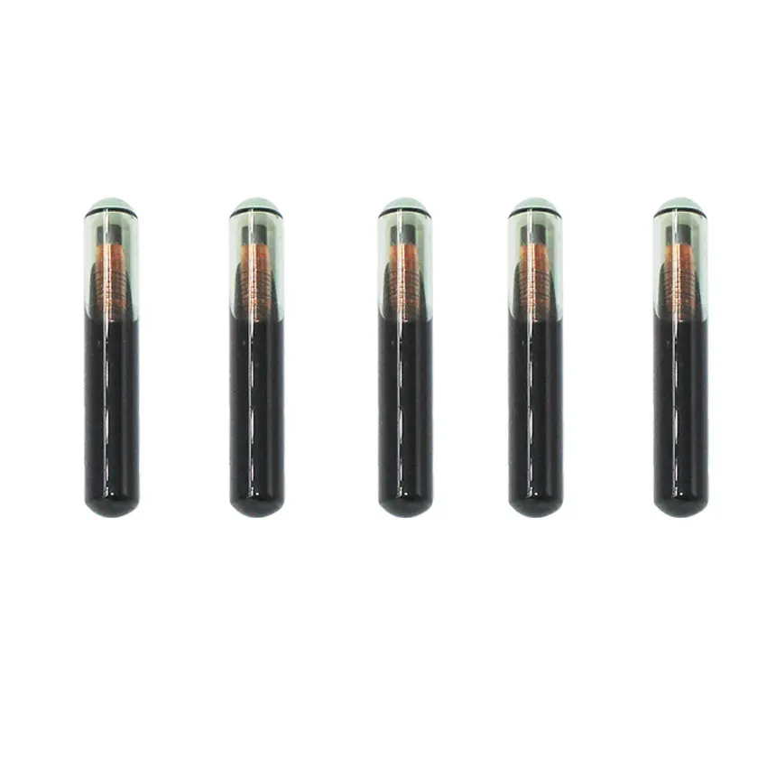 10 шт./лот 4D60 Большой Стеклянный чип Автомобильный ключ чистый транспондера для Ford