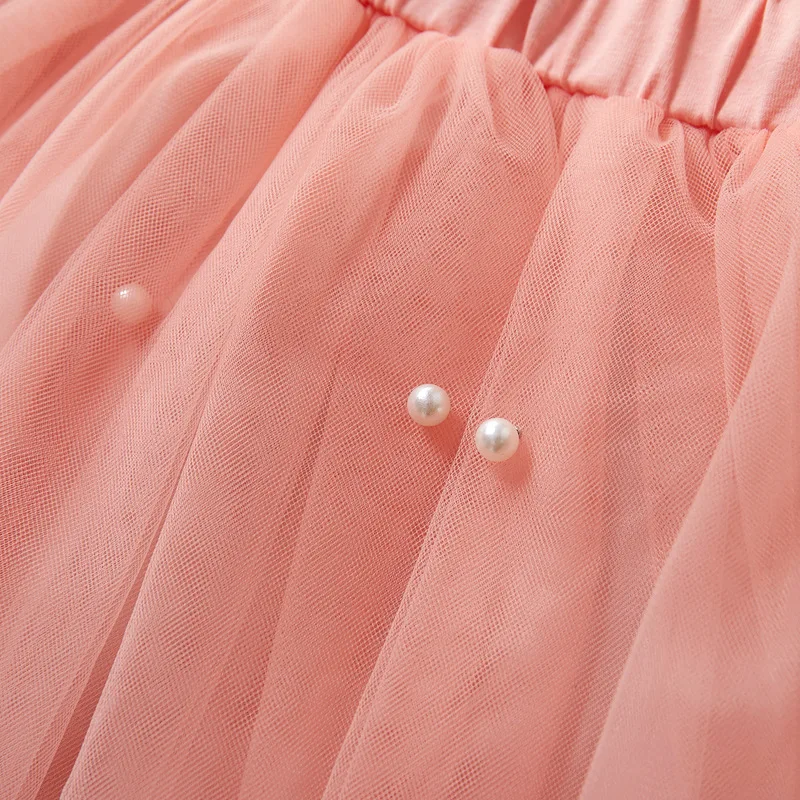 

Spring And Autumn Crew Neck Long Sleeve Cotton Tulle Letter Flowers Korean Version 2021 Western Style Princess Dress TZ0033