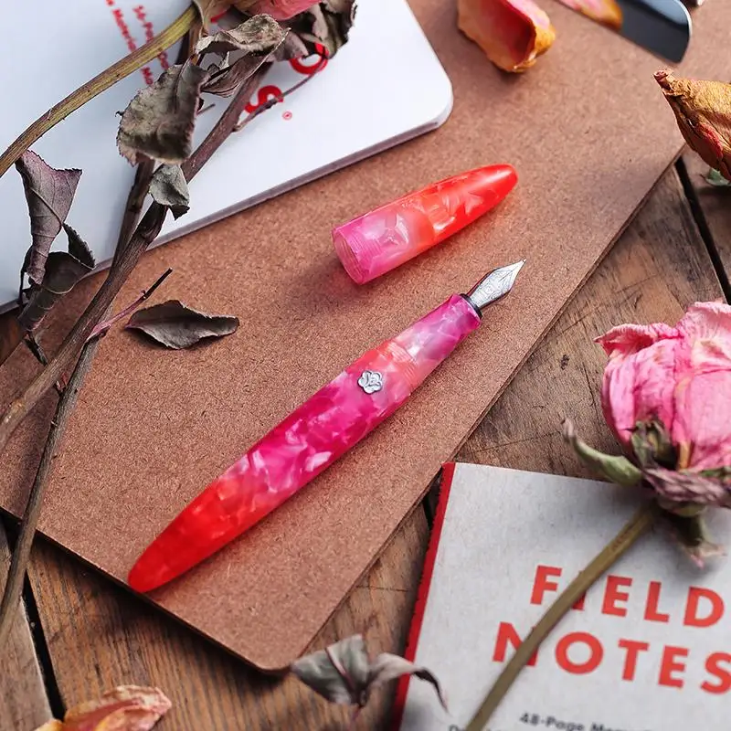 Live in you future series resin luxury feather fountain pen girl's special training calligraphy retro pen birthday  gift kawaii