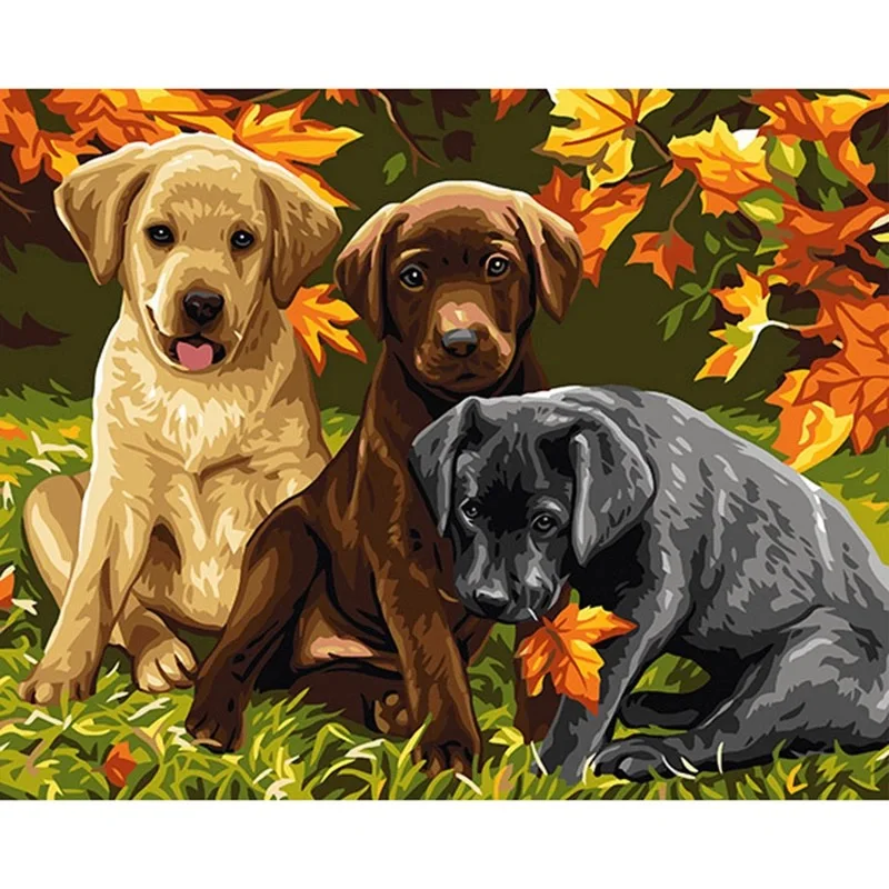 

Dog Pictures For Paint With Numbers Frame On Canvas Handmade Acrylic Painting By Number Coloring For Drawing DIY Craft Kits Art