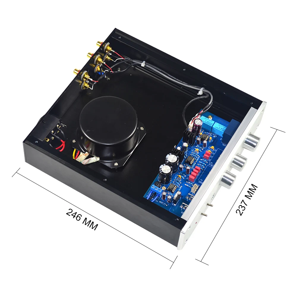 Предусилитель AIYIMA предусилитель HiFi для усиления лихорадки 2-полосный вход с