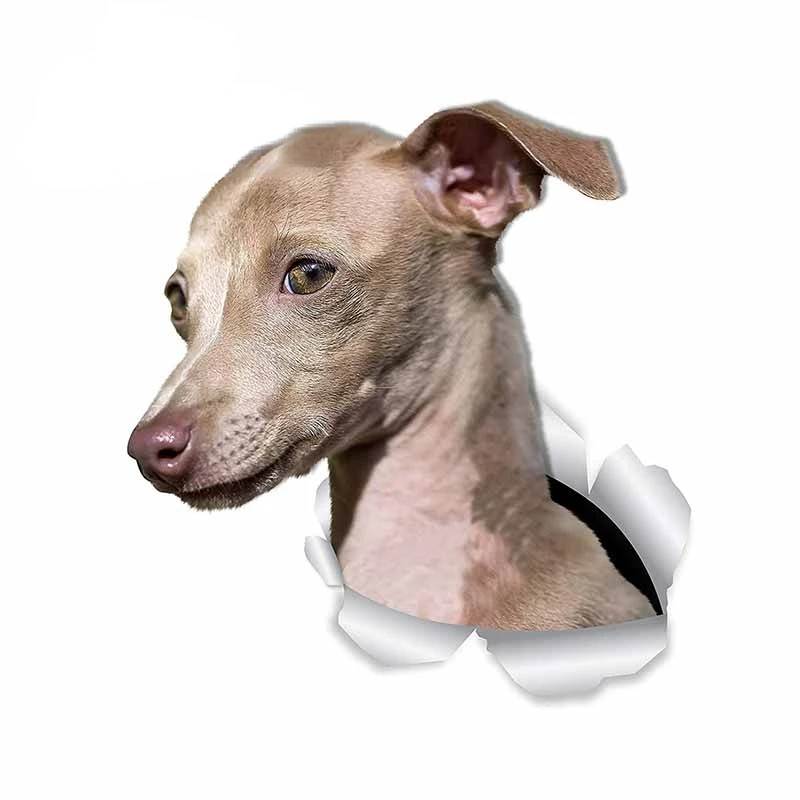 

Personality Cute Greyhound Dog Funny Car Stickers Air Conditioner Decal Waterproof Fashion Suitable for VAN RV KK13*12cm