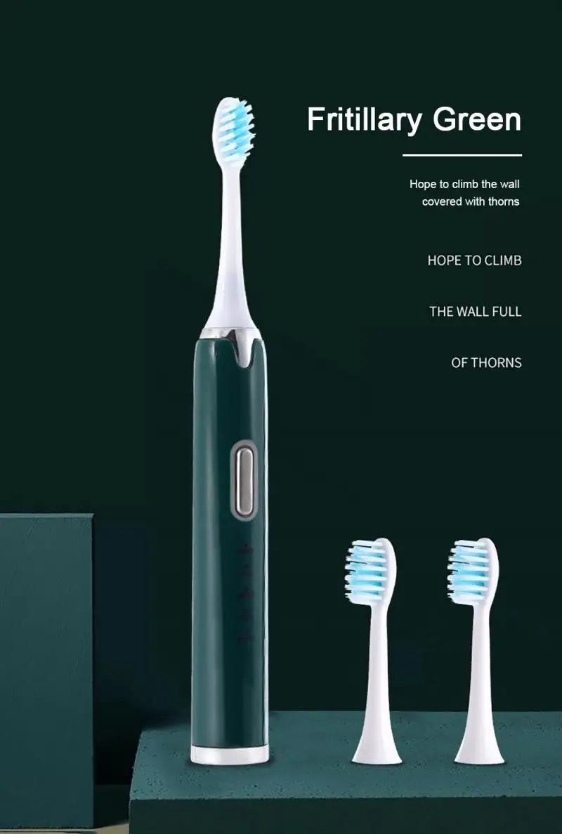 

Sonic Electric Toothbrush Ultrasonic Automatic Smart Tooth Brush USB Wireless Charge Base Waterproof With 4 Soft Head Oral Clean