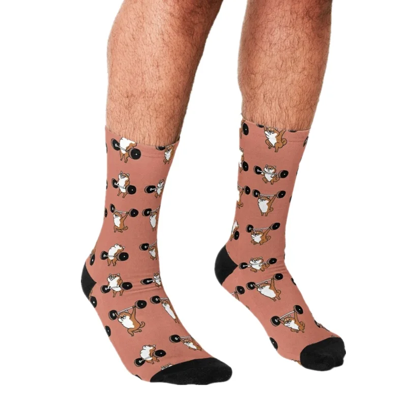 

Funny Men's socks Olympic Lifting Chihuahua Pattern Printed hip hop Men Happy Socks cute boys street style Crazy Socks for men