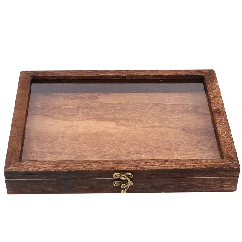 

1Pc Clamshell Type Specimen Display Box Insect Display Box Storage Box Plant Display Box for Gift Home Decor