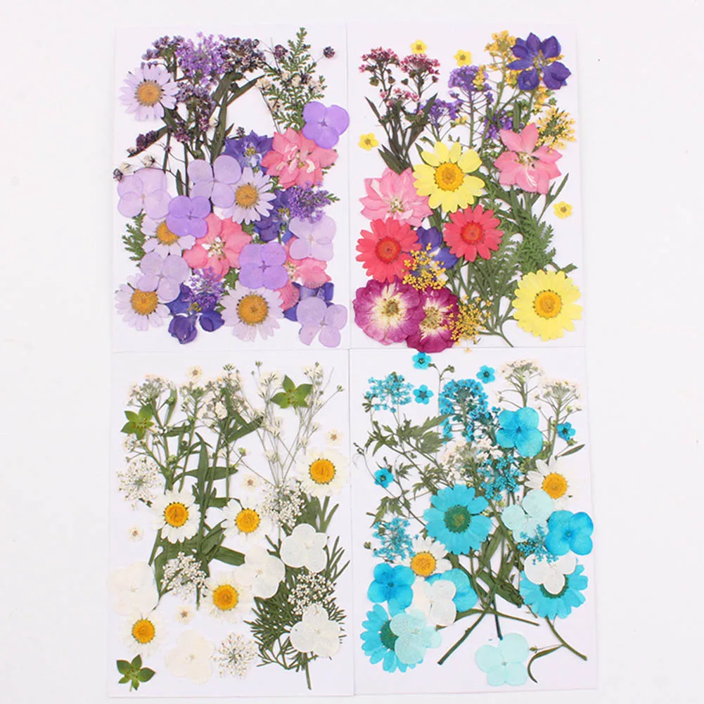 

Pressed Flower Mixed Organic Dried Flowers DIY Art Floral Decors Collection Gift HEE889