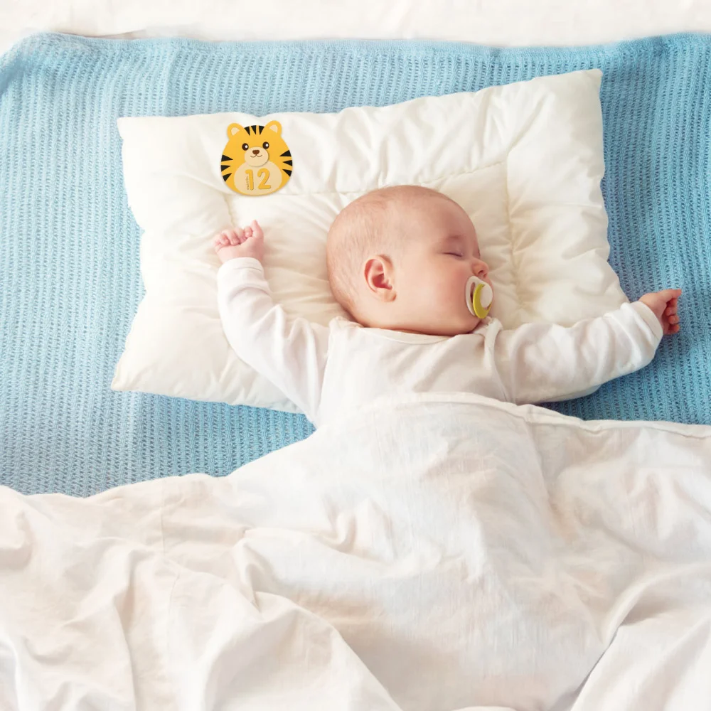 

12pcs Newborn Milestone Stickers Practical Labels Month Memorable Stickers