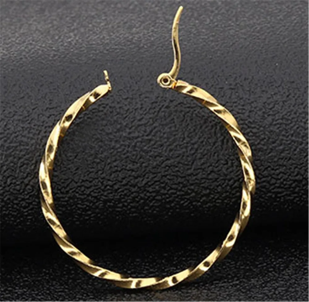 Титана стали витые большие серьги из нержавеющей 316L изысканные золото серебро