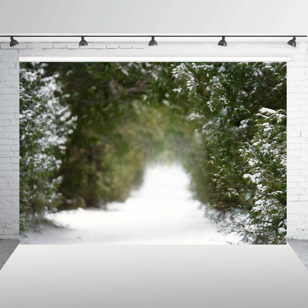 Рождественский зимний фон сосновый лес белый снег сцена дорога фото для детей