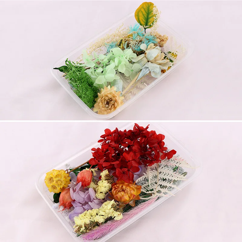 

Pressed Flower Mixed Dried Flowers DIY Art Floral Decors Collection Gift Craft DIY Home HANW88