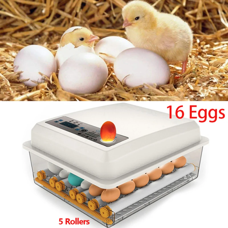 Инкубатор для яиц Брудер топор птица перепелиное яйцо инкубатор цыплят двойной