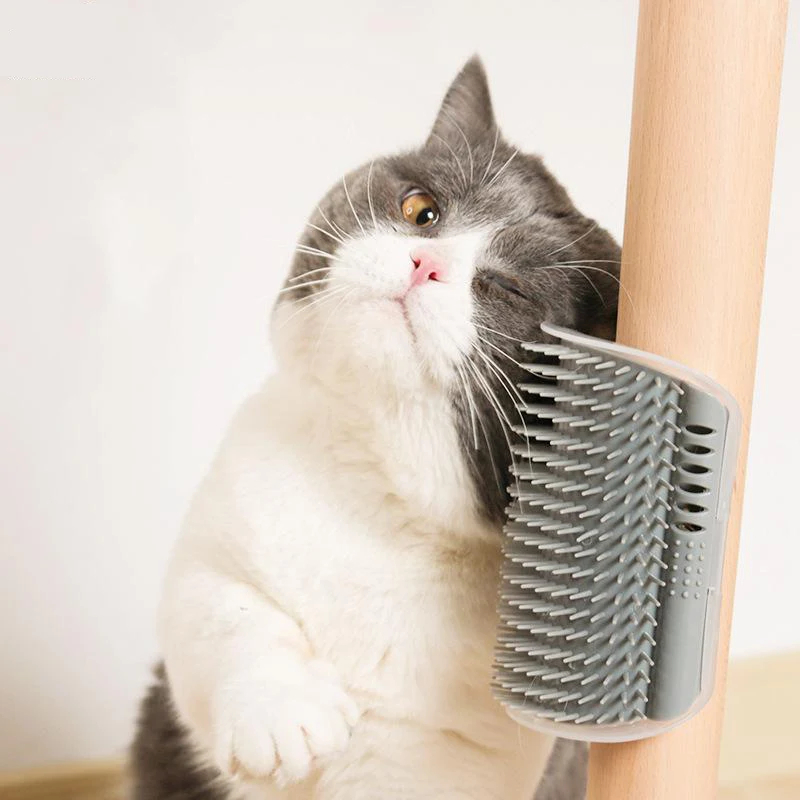 

Cat Toy Corner Pet Brush Comb Play Plastic Scratch Bristles Arch Massager Self Grooming Cat Scratcher Cat Supplies Pet supplies