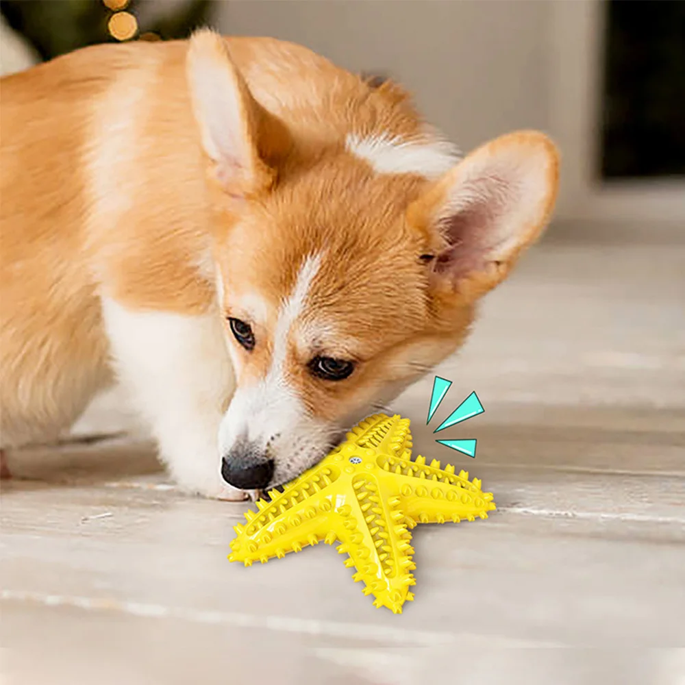 

Pet Dog Starfish Vocal Molar Teeth Cleaning Toy Starfish Sounding Toy Cute Dog Chew Toys Bone Dog Tooth Brush Chewing Gum