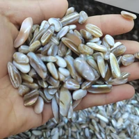 natural melon seeds tiny shells seashells aquarium gravel for fish tank natural stones and minerals