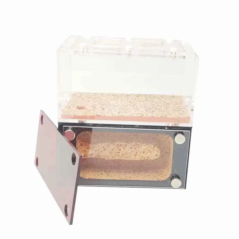 Террариум для рептилий бетонное Муравьиное гнездо ферма независимые активные