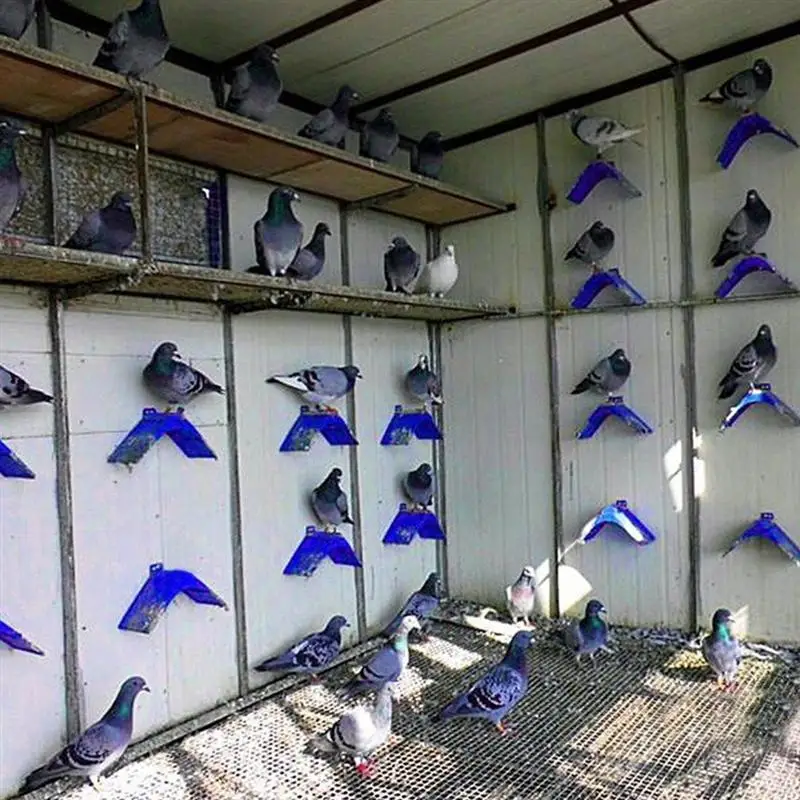 Пластиковая подставка для голубей 10 шт.|Птичьи насесты| |