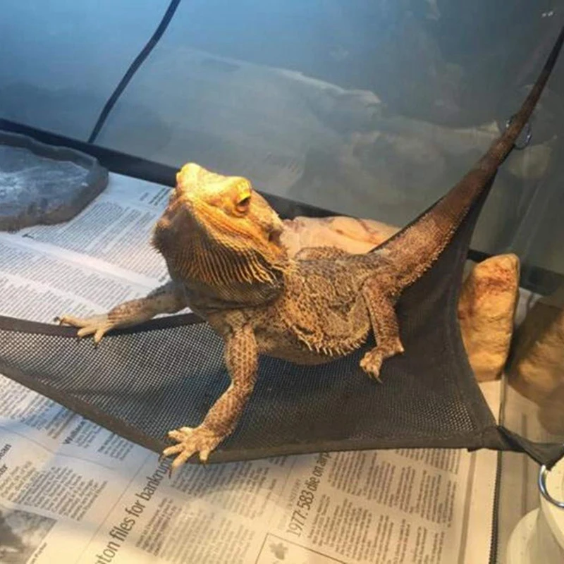 Гамак для рептилий лежак аксессуары лестницы набор больших и маленьких