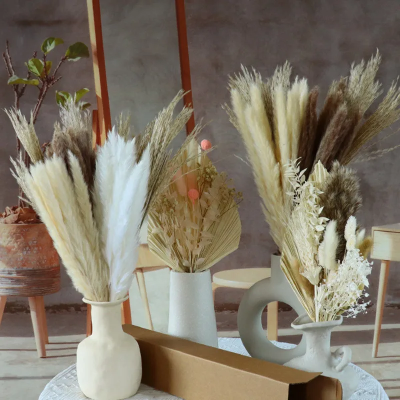 

1 Bunch Pampa Real Flowers Dried Pampas Grass Fleurs Sechees Reed Phragmites Plants Bouquet For Wedding Party Home Decoration