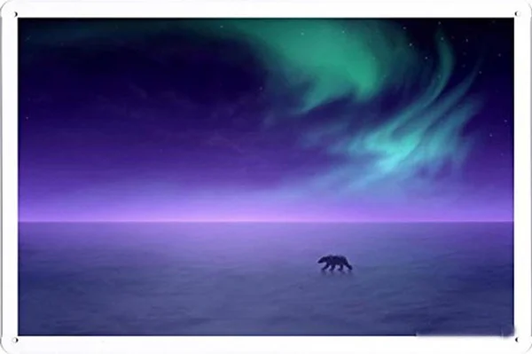 

Tin Sign Poster Polar Bear In The Northern Lights