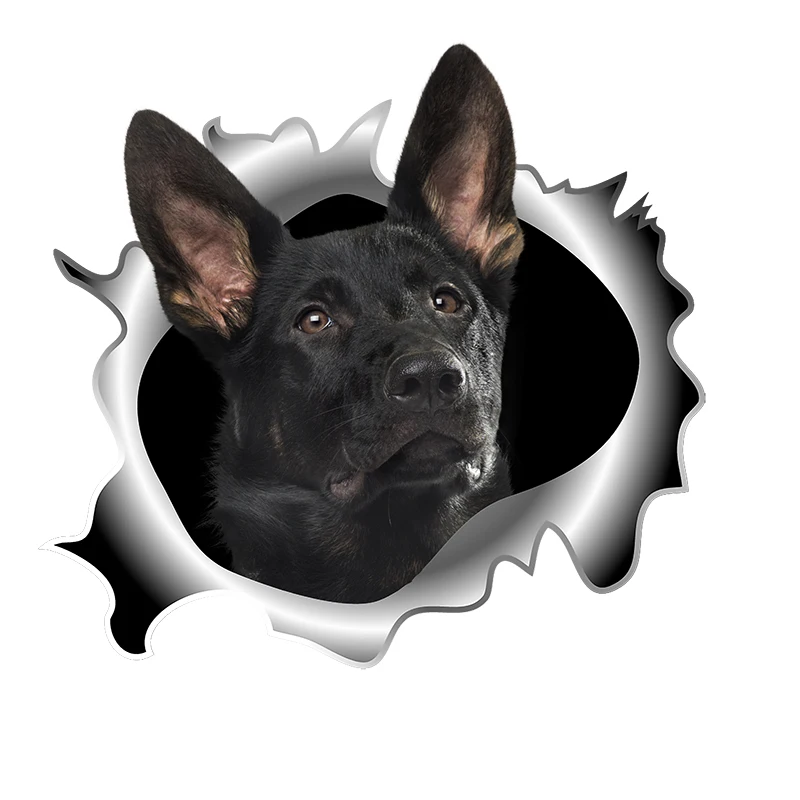 

Детская Наклейка на ноутбук Three Ratels C518, Бельгийская malinows 3D настенные наклейки с собаками, 3D постер, мультяшное животное, наклейка на капот ав...