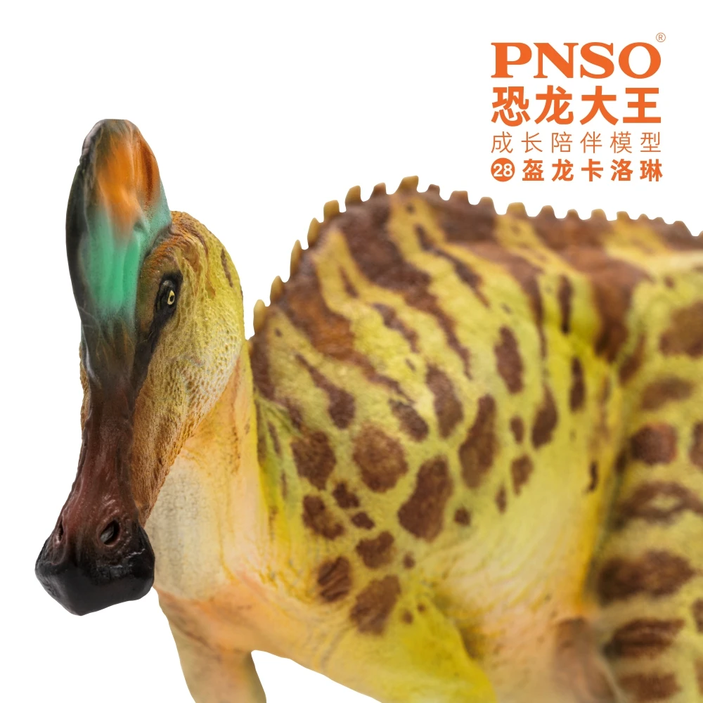 PNSO-dinosaurio prehistorico, modelos: 28, Ana, Corythosaurus-5