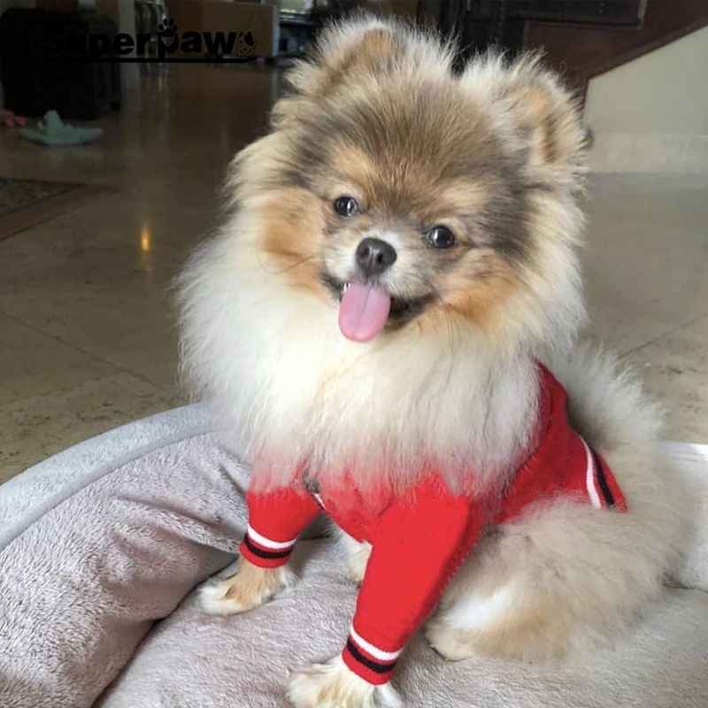 Модная одежда для собак свитер щенка толстовка с капюшоном французского