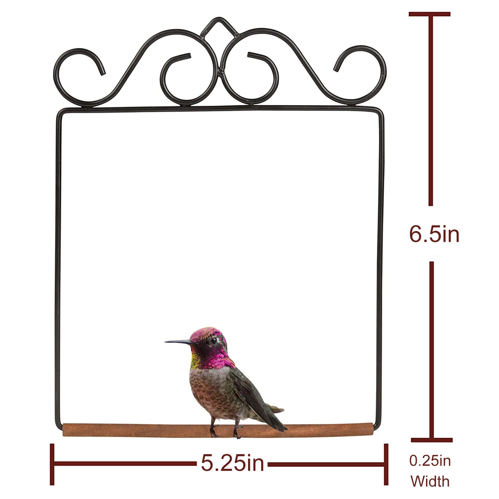 

Hummingbird Training Accessories Rust Resistant Iron & Wood Parrot Perch Bird Cage Stand Shelf Bird Cage Cockatiel Toy Pet Stand