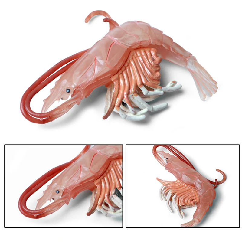 

Baby Biology Toys Lobster Marine Life Animal Model Figure Statue Child Toy Plastic Simulation Marine Shrimp Toy For Child Gifts