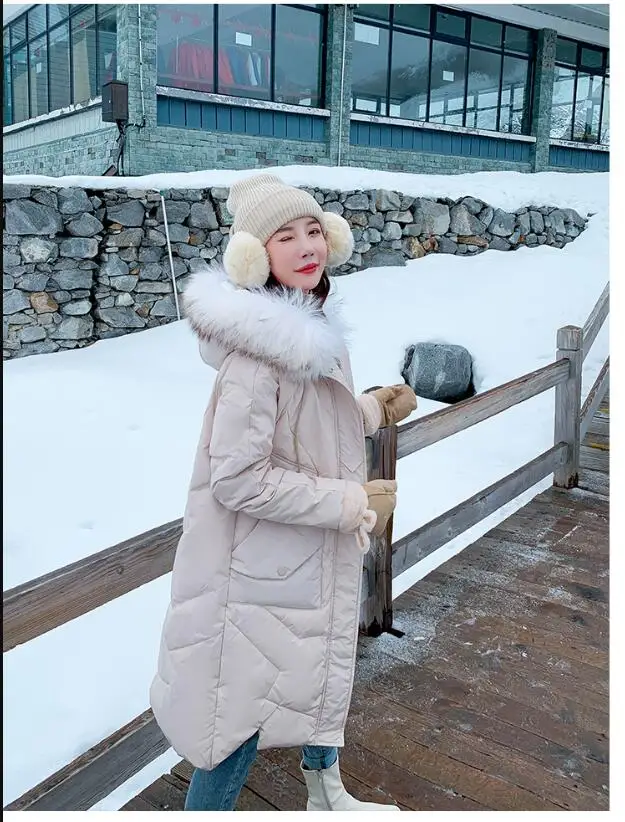Зимнее пальто ins супер огненная зимняя одежда 2019 Новинка пуховик с большим