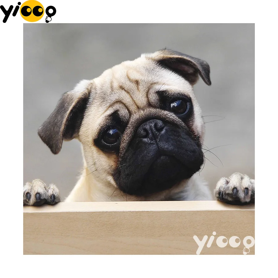 Полностью квадратная/круглая алмазная живопись бульдог 5D Сделай Сам Алмазная