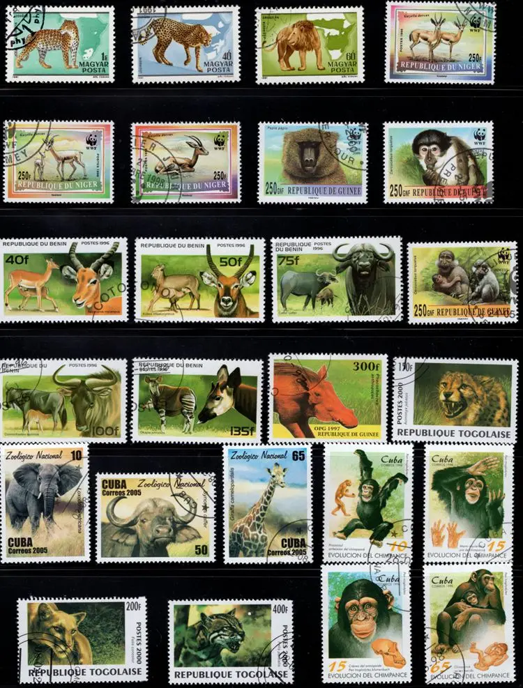 

50Pcs/Lot African Wild Animals Stamp All Different From Many Countries NO Repeat Postage Stamps with Post Mark for Collecting