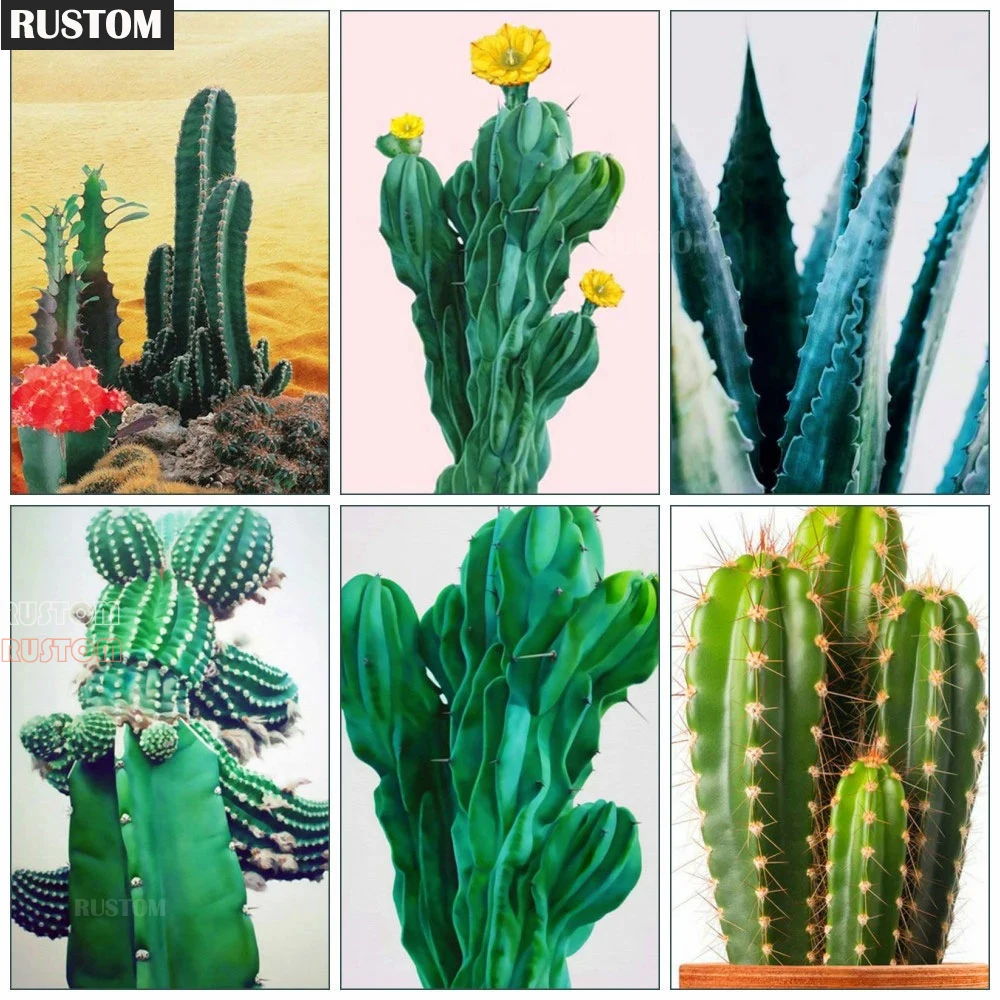 

5D Diamond Embroidery Cross Stitch Cactus Diamond Painting Full Square/Round Mosaic DIY Home Decor Hanging Pictures Gift RUSTOM