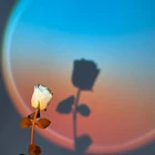 Лампа Sunny Beach Sunrise для проекции рассвета, светильник для рассвета, романтическая атмосфера, декоративный ночсветильник для спальни