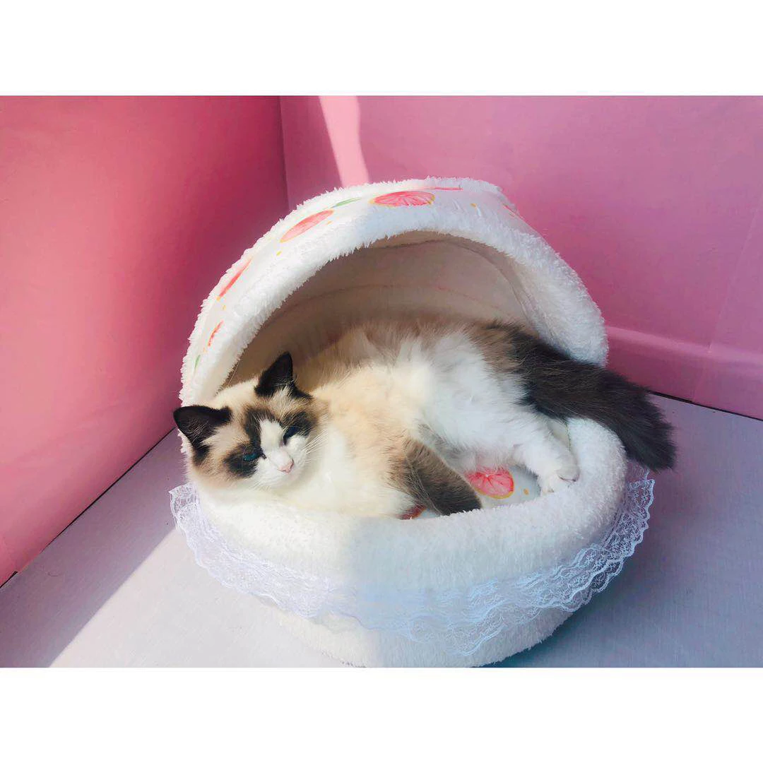 Кровать для домашнего питомца принцессы Милая Кружевная подстилка с принтом в