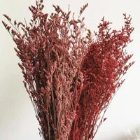 80g30 40cmnatural fresh preserved lover grass bunch eternal display real flower grass for wedding party home decoration