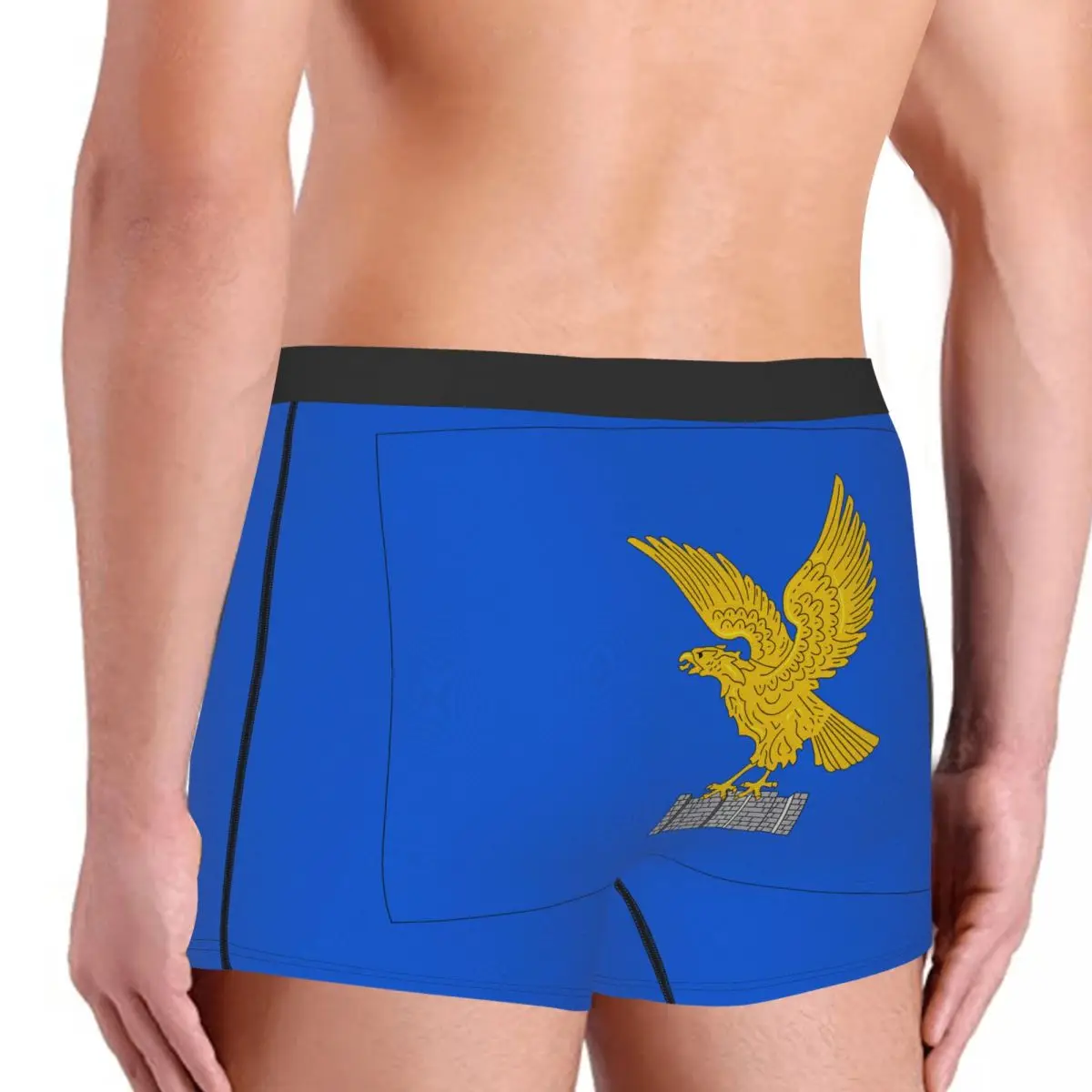 Flag Of Friuli-Venezia Giulia Men's Boxer Briefs regions of Italy Nerdy elastic pants for men