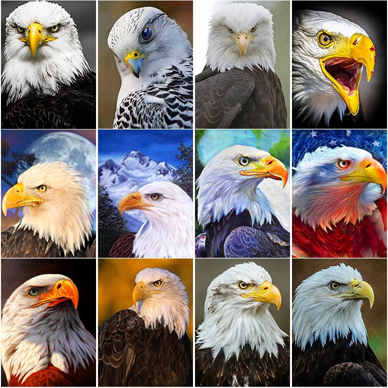 

New DIY 5D Diamond Painting Mosaic Art Gift Bald Eagle Diamond Embroidery Animal Cross Stitch Full Square Round Drill Home Decor