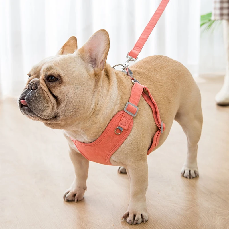 Жилетка поводок для собак не тянется прогулок на открытом воздухе щенков кошек