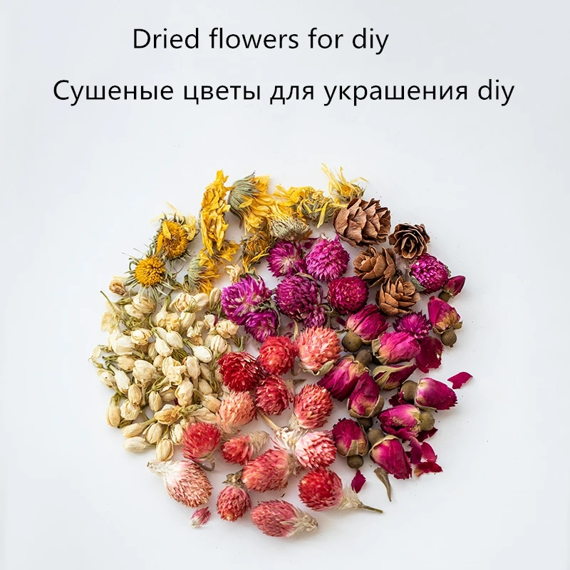 Dried Flower DIY Accessories for Aromatherapy Candle Necklace and Jewelry Making Craft - Real Dry Plants for DIY Candle and Decor - XJj24 image 5