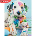 Алмазная вышивка HUACAN мозаика Цветная собака полная квадратнаякруглая алмазная живопись животные алмазная живопись кристалл домашний декор