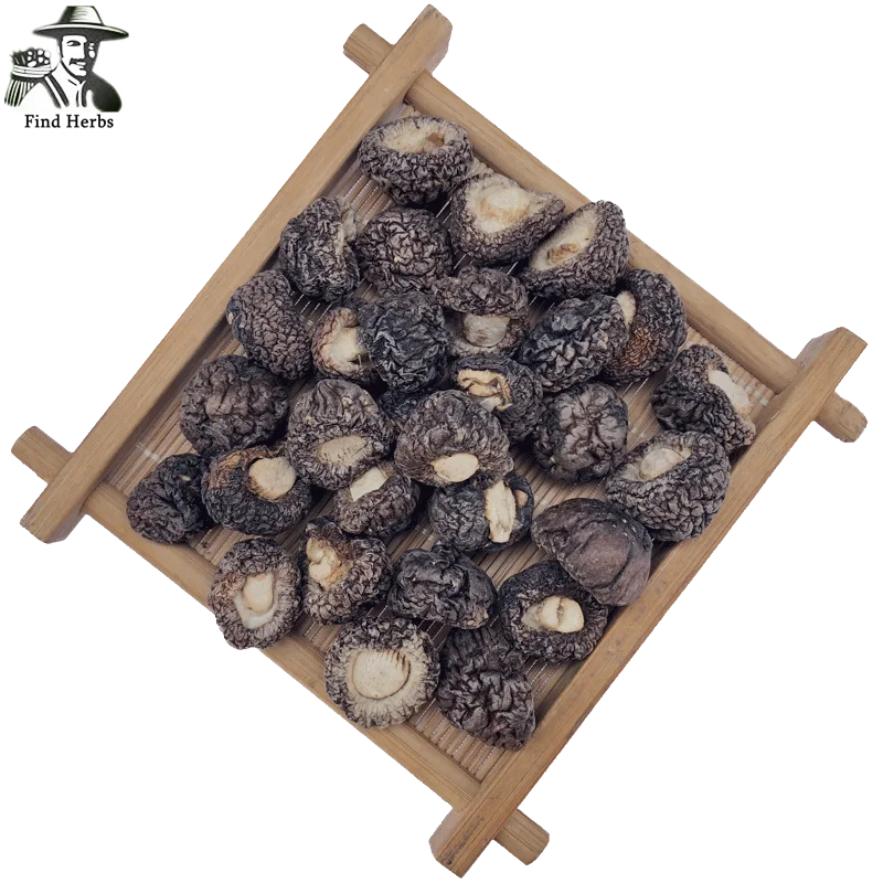 

Lentinan Mushroom, Chinese Shiitake Mushroom, Xiang Gu, Jin Qian Gu