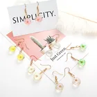 Креативные серьги ручной работы сделай сам в виде сухих цветов, маленький свежий и свежий вечный цветок Sen, Женская литература, ювелирные изделия