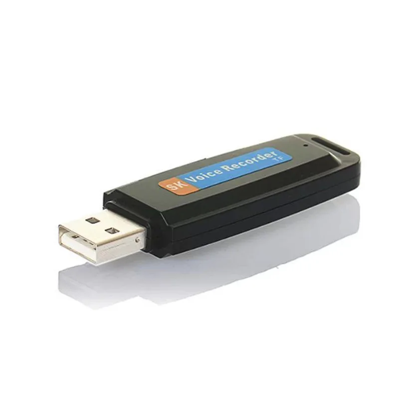 Portable Recorder Pen Audio Voice Dual Arc Microphone Digital Dictaphone Mini Clip On Magnetic | Электроника