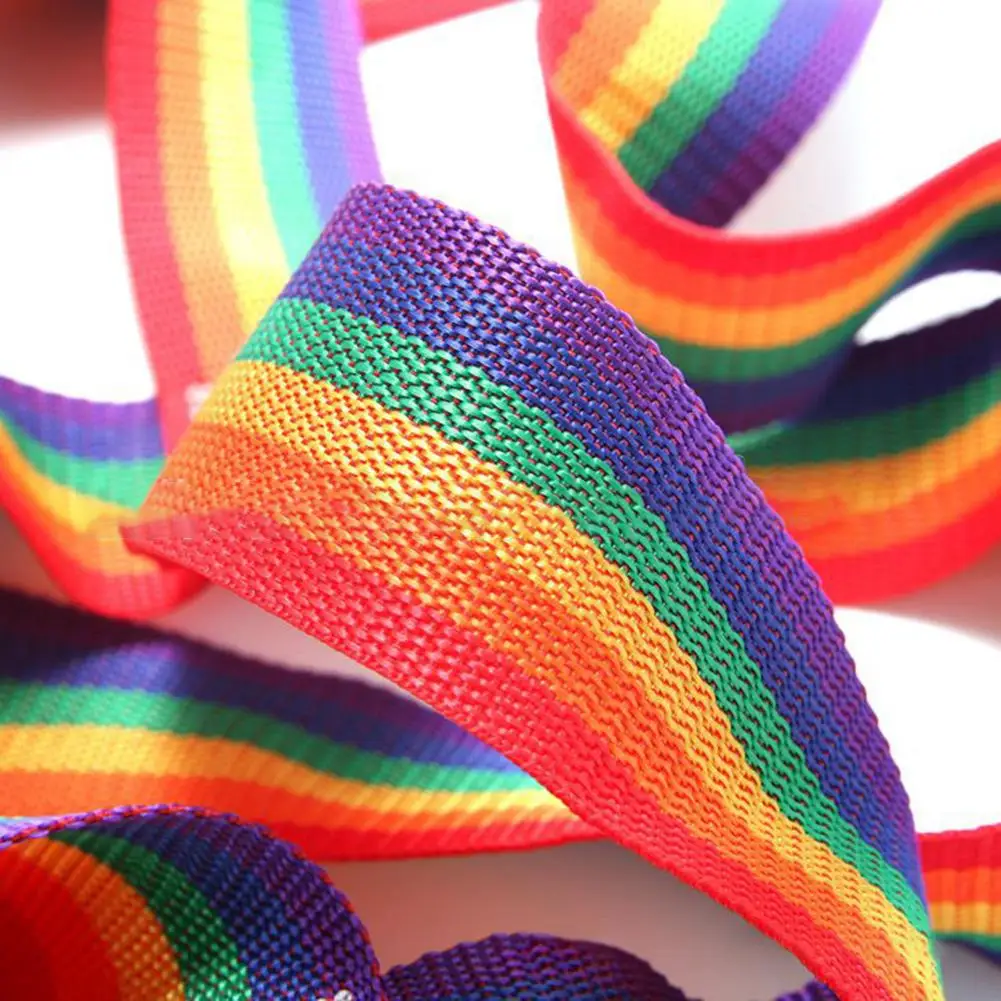 

Outdoor Rainbow Climbing Net For School Children Physical Training Climbing Net For Sports Entertainment Athletic Accessories