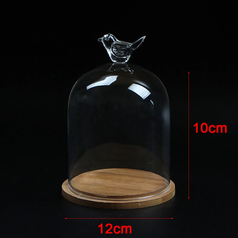 

Home Decor Vases Glass Flower Display Cloche Bell Jar Dome Immortal Preservation + Wooden Base Everlasting Flower Glass Cover