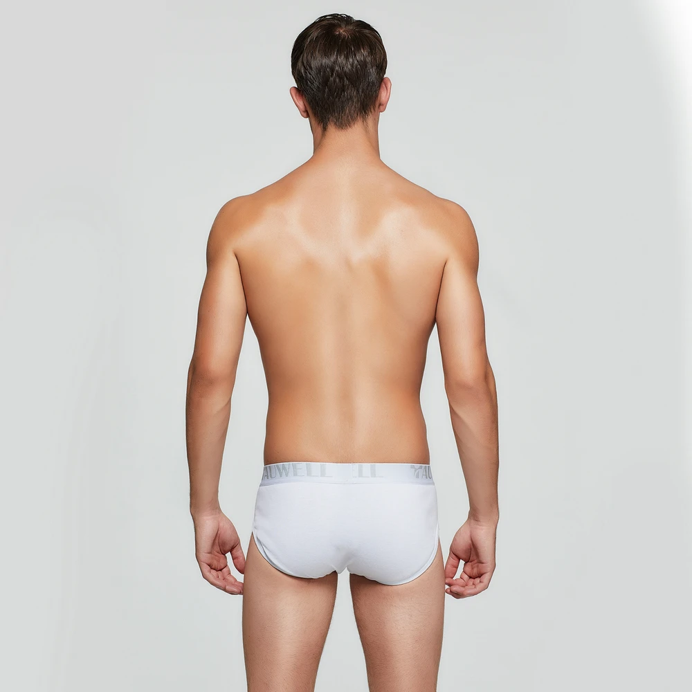 

MEN'S COTTON UNDERWEAR calecon homme Briefs unterhosen herren sous vetement TAUWELL man Trunks