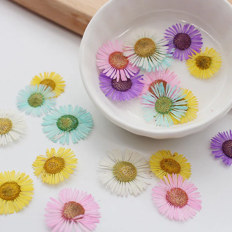 

Small Needle Chrysanthemum Dried Flowers For Nail Beauty Wholesale Free shipment 1 Lot/120pcs