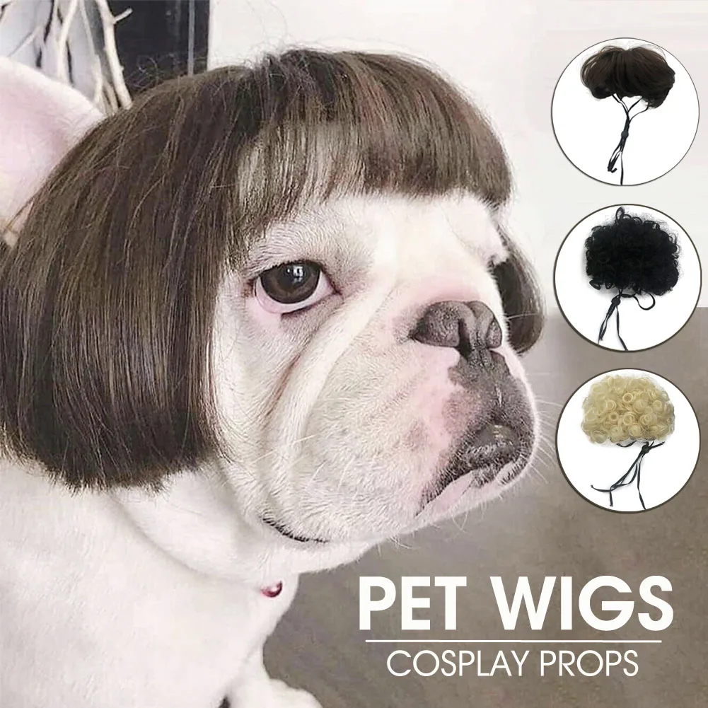 

2022 New Fashion Pet Wigs Cat Dog Cospaly Props Wigs Tiara Hairpiece Makeover Clothing Pet Supplies Suitable For All Dog Breeds